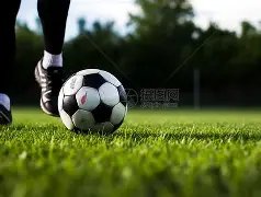 英超第,曼联,不敌水晶宫,万博manbetx体育平台,万博体育官网,万博体育app下载,ManBetX,SPORTS