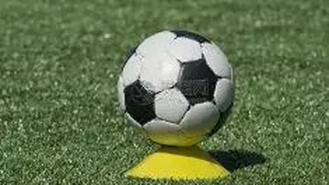 阿迪达斯重金投入支持匹克发展乒乓球，匹克体育与比利时奥委会续约成功